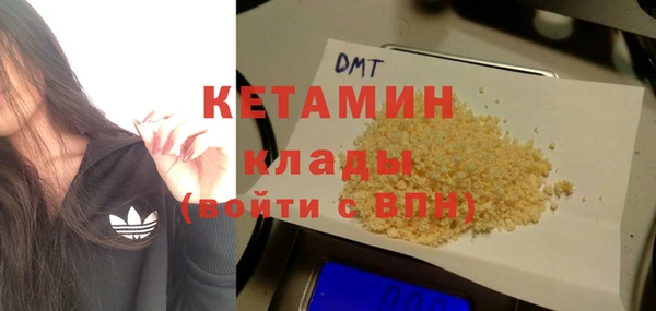 шишки Аркадак