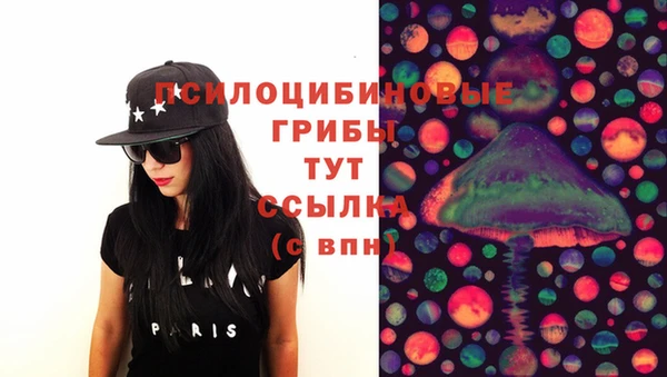 шишки Аркадак